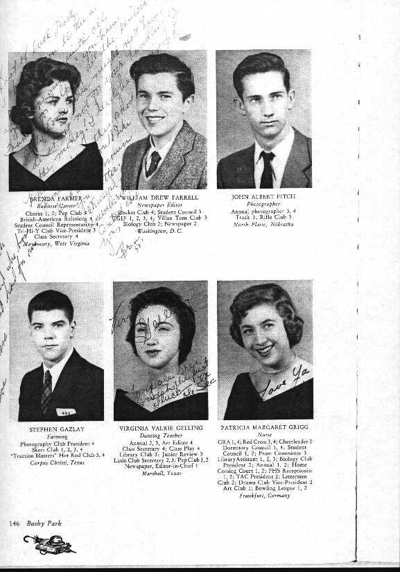 146.jpg (87709 bytes)