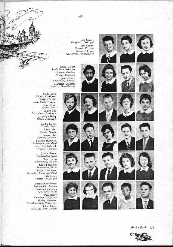 173.jpg (90491 bytes)