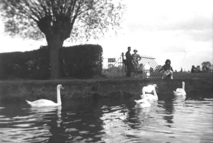 Anita13.jpg (39219 bytes)