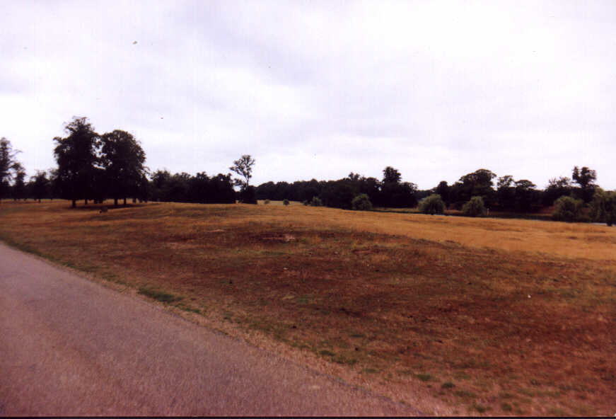 Anita14.jpg (54779 bytes)