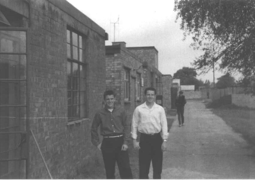 Gene19f.jpg (48581 bytes)