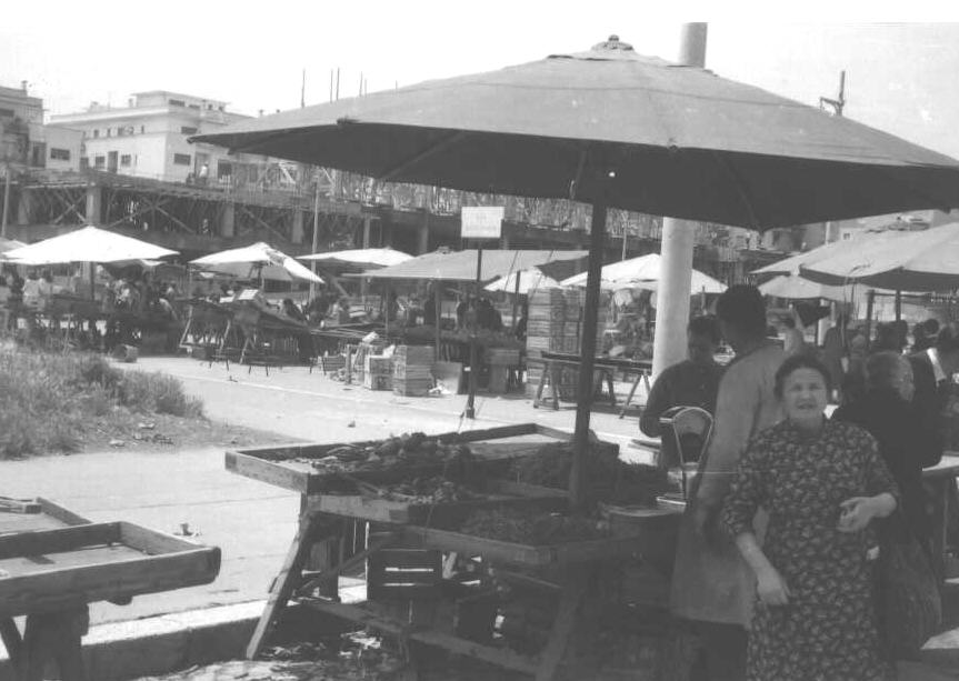 Gene7f.jpg (61422 bytes)